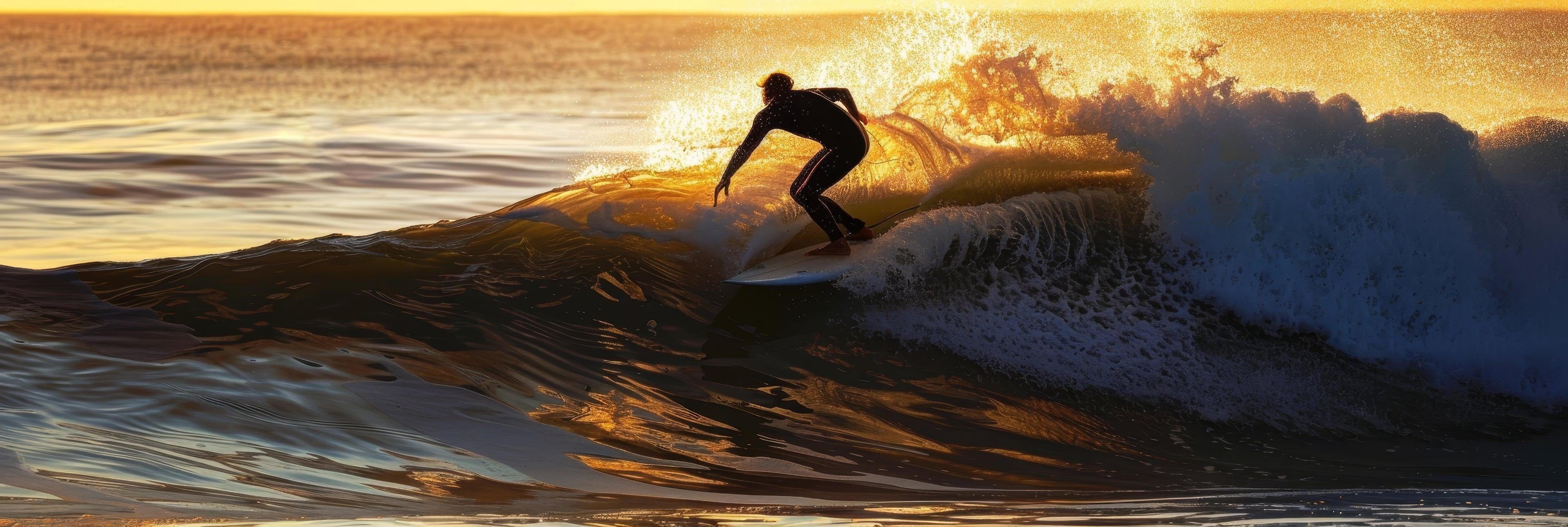 Beginner Surf Lesson